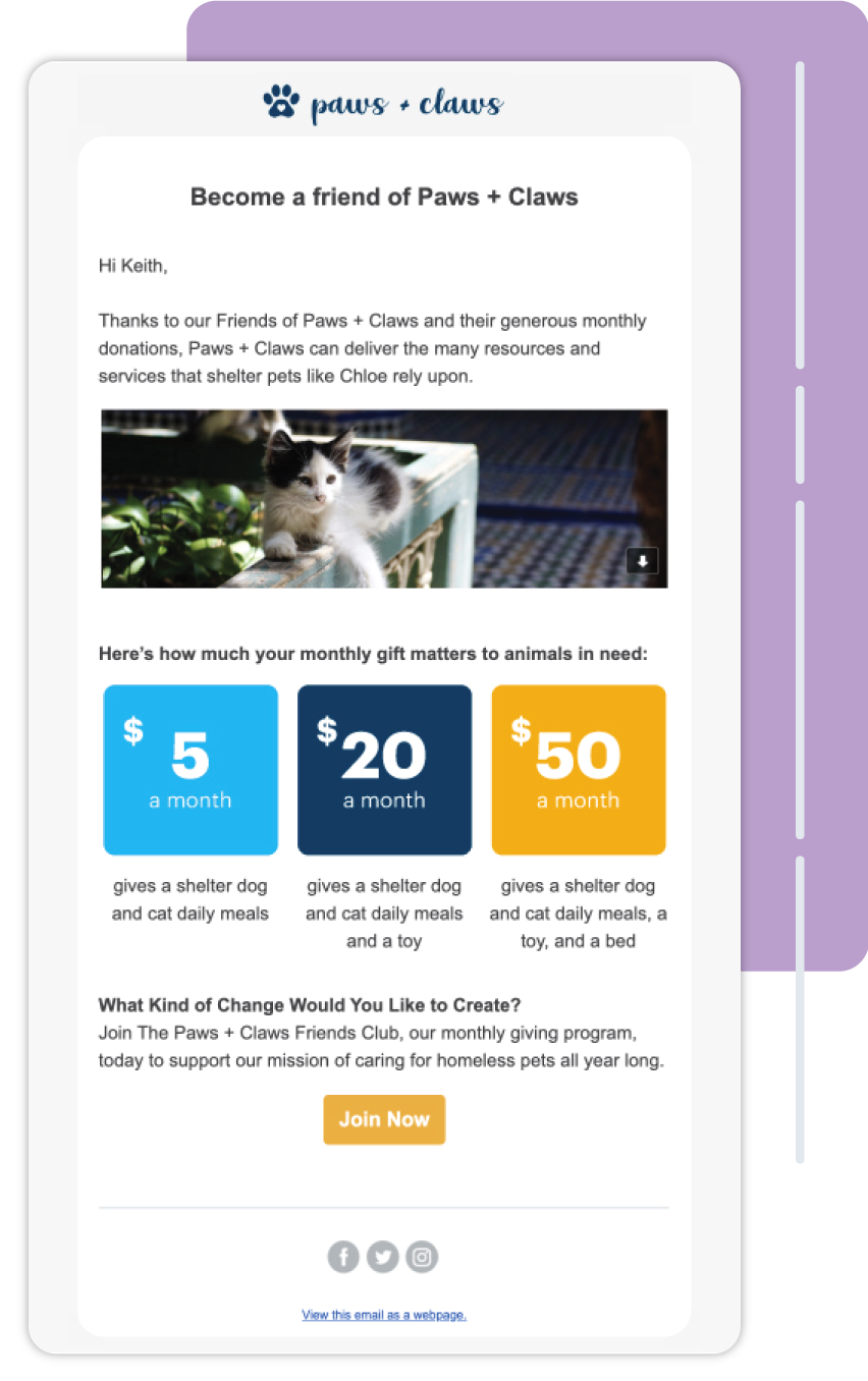 Fundraising Email Template Example