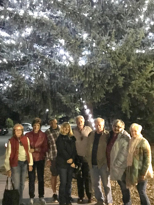 Group of Volunteers at the Tree of lights