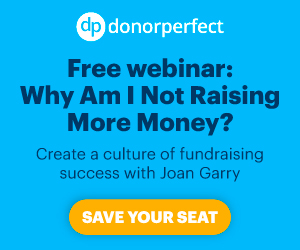 Free Webinar Why am i not raising more with Joan Garry