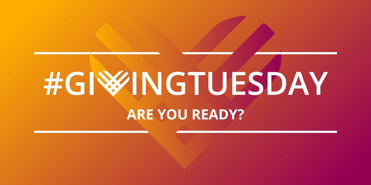 Recommendations to get your DonorPerfect system ready to track Giving Tuesday donations.