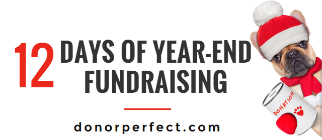 12 Days of Year-End Fundraising Theme Photo